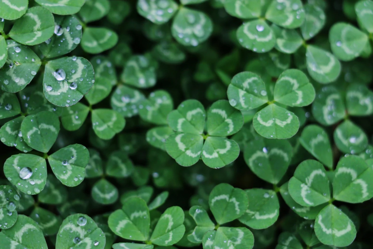 Is Luck a real thing?
