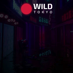 Wild Tokyo - najlepsze kasyna z wypłatami online
