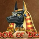 Play The Book of Dead Slot Game