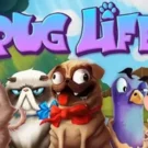 Play The Pug Life Slot Game