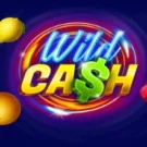Play The Wild Cash Slot Game