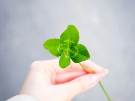Best Irish Slots: Top St Patrick’s Day Slot Games Best Irish Slots: Top St Patrick’s Day Slot Games