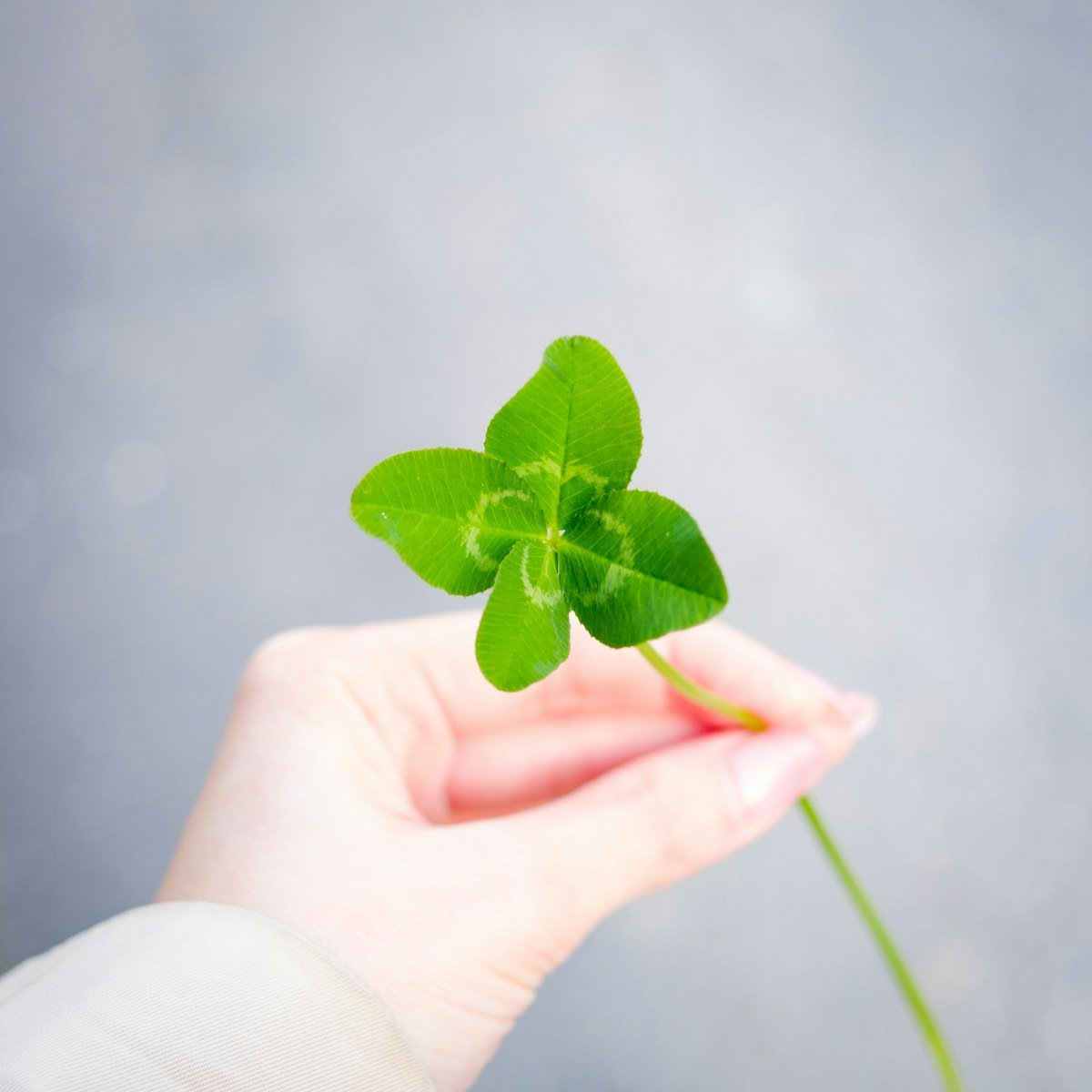 Best Irish Slots: Top St Patrick’s Day Slot Games Best Irish Slots: Top St Patrick’s Day Slot Games