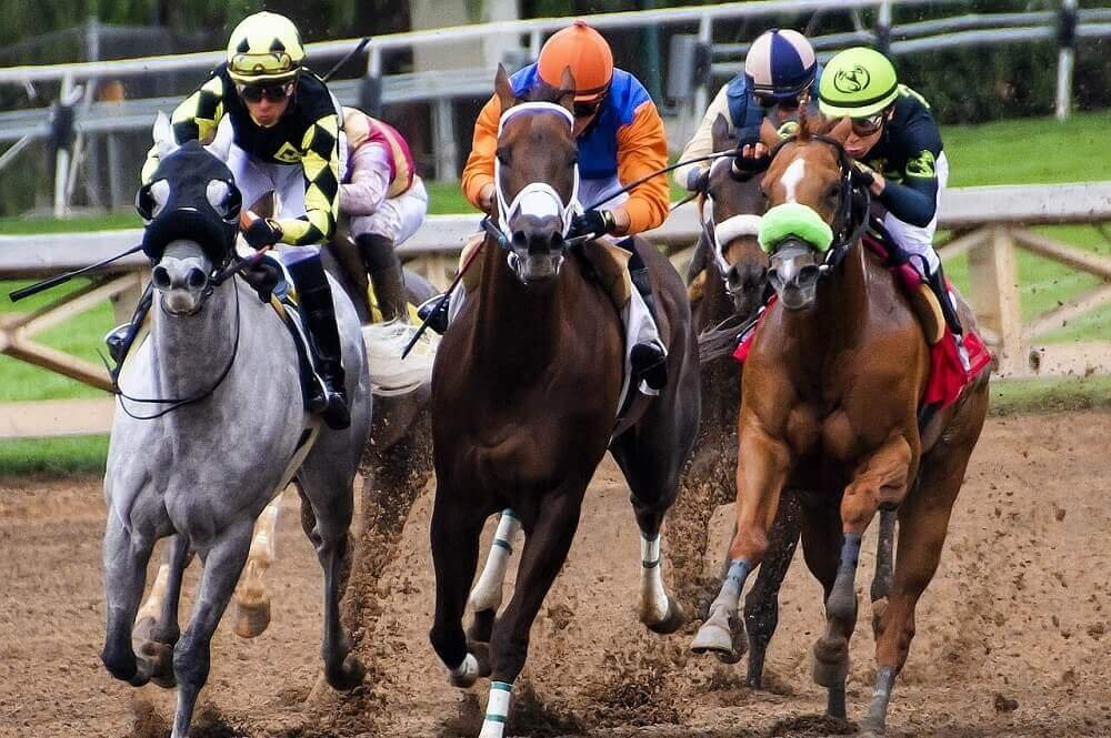 Best Horse Races