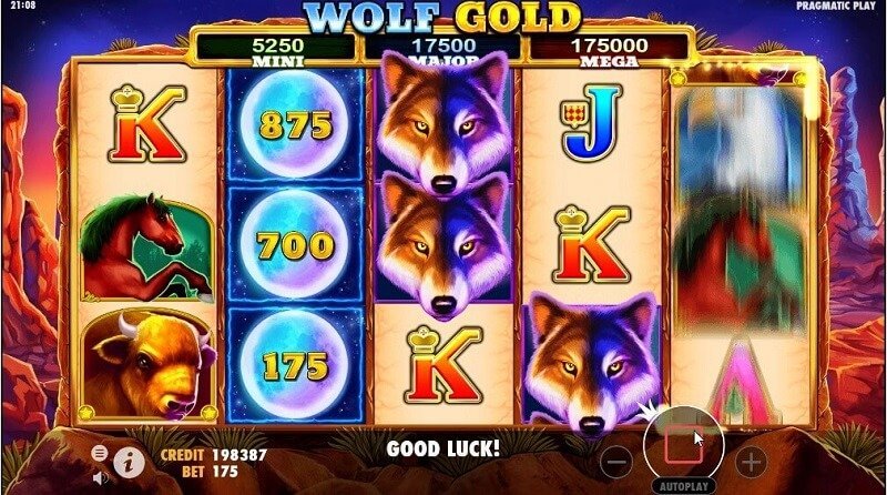 Wolf Gold