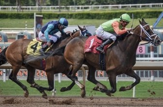 Horse Race Betting For Beginners Guide 2020